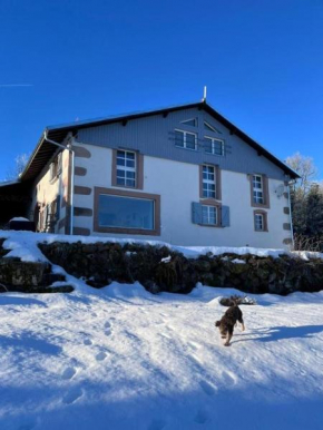 Villa d'exception LA BELLE DES VOSGES 4 étoiles, bain nordique, sauna, billard etc
